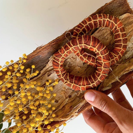 Indigenous-owned business